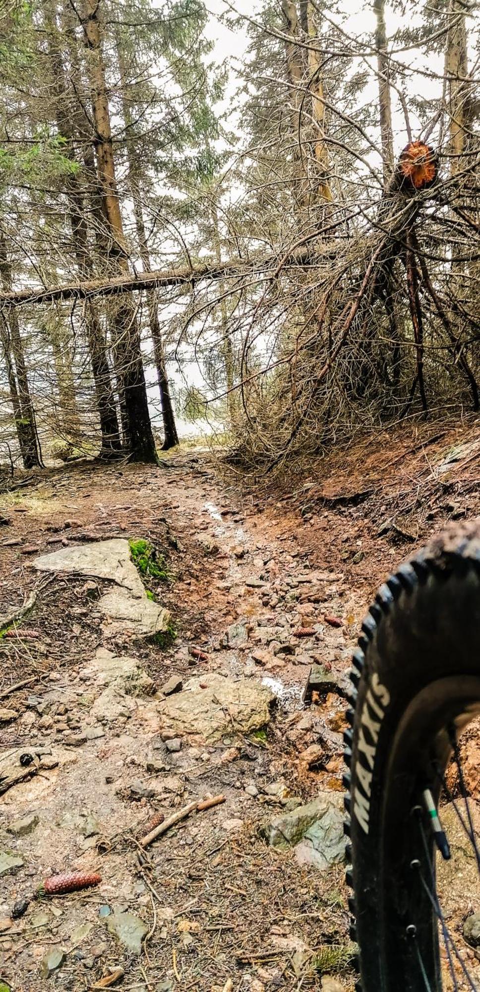 Appartamento Harzbeat Braunlage Esterno foto