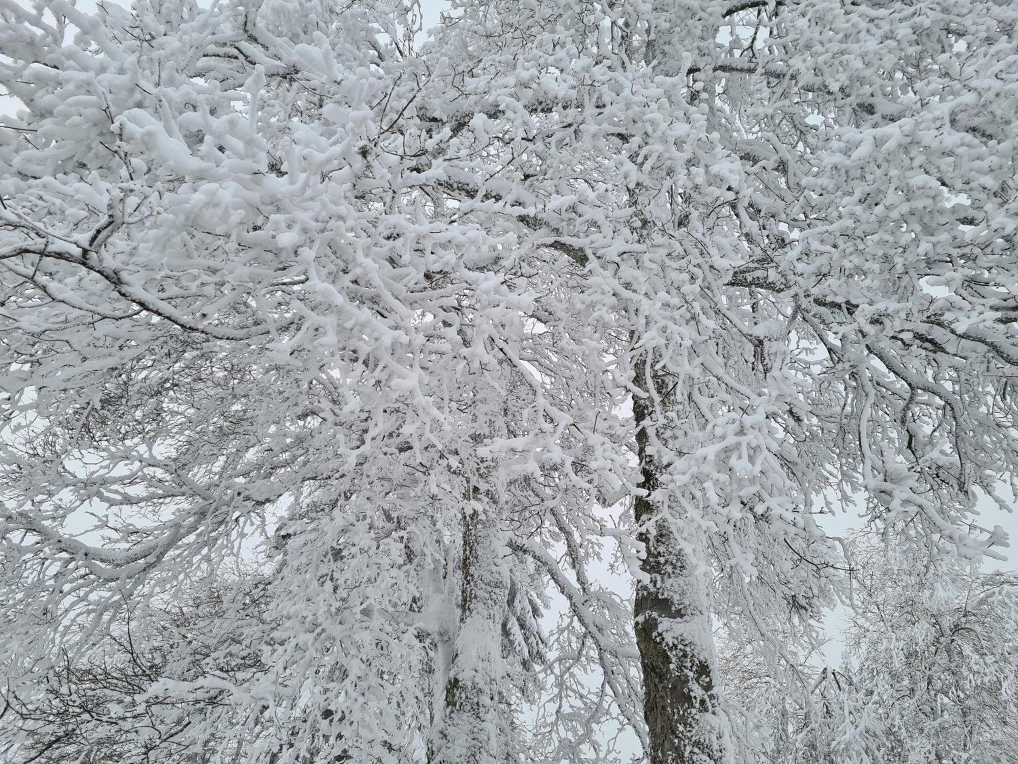 Appartamento Harzbeat Braunlage Esterno foto