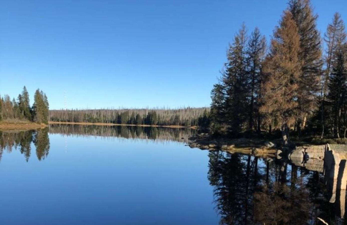 Appartamento Harzbeat Braunlage Esterno foto